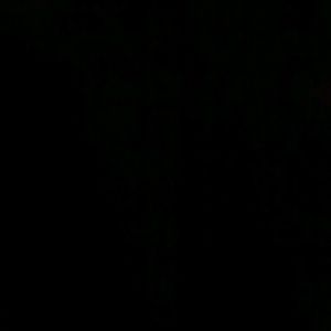 Meet your Posher, Jayden